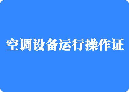 女人鸡把视频内射制冷工证